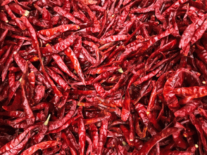 Hasta olmak istemeyen bol bol yesin!